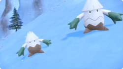 Los Snover absorben el frío plantando sus pies en la nieve.