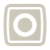 Tipo normal icono LGPE.png