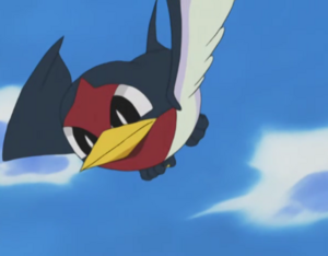 Taillow usando picotazo.