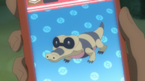 EP1273 Sandile en la SmartRotom.png