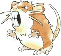Raticate en Pokémon Rojo y Verde.