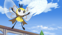 Ribombee de Mencía usando red viscosa.