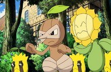 Imagen de Nuzleaf