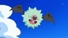 Woobat