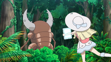 Pinsir