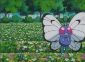 Butterfree