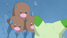 Dugtrio usando excavar.