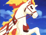 Ponyta
