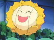 EP137 Sunflora (2).png