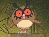Hoothoot
