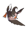 Staravia
