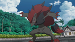 Zoroark