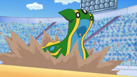Gastrodon usando agua lodosa.