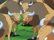 EP033 Tauros.png