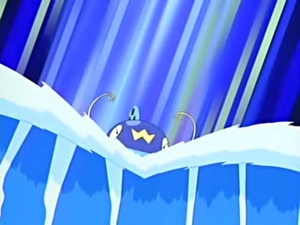 Whiscash usando surf.