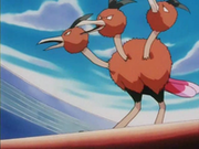 EP133 Dodrio (4).png