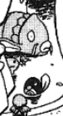 Wooper