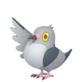 Pidove HOME.png