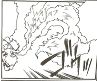 Arcanine de Blaine usando giro fuego/giro de fuego en PMZ08.