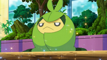 Swadloon