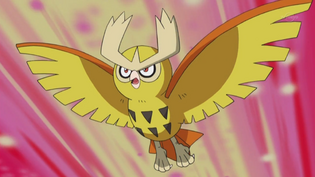 Imagen de Noctowl