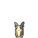 Icono de Forma saciada en Pokémon Escarlata y Púrpura