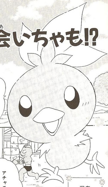 Archivo:CCP01 Torchic.png