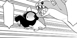 Yungoos del Recluta del Team Star usando Supercolmillo/Superdiente.