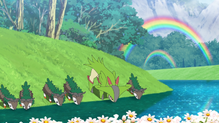 Skiddo