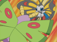 Dustox usando placaje.