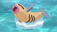 Un Feebas salvaje usando Salpicar/Salpicadura.