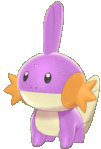 Imagen de Mudkip variocolor en Pokémon Espada y Pokémon Escudo