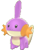 Imagen de Mudkip variocolor en Pokémon Espada y Pokémon Escudo