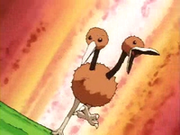 EP075 Doduo.png