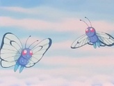 Butterfree