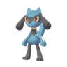 Riolu