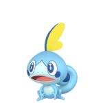 Sobble macho