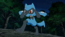 EP1110 Riolu de Ash (2).png