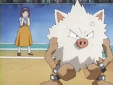 Primeape