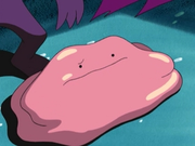 PK09 Ditto.png