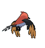 Imagen posterior de Fletchinder en Pokémon X, Pokémon Y, Pokémon Rubí Omega, Pokémon Zafiro Alfa, Pokémon Sol, Pokémon Luna, Pokémon Ultrasol y Pokémon Ultraluna