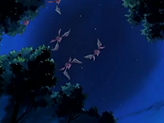 Crobat