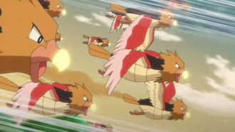 Spearow salvajes usando picotazo.