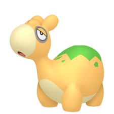 Numel macho