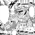 Blastoise en PPM029