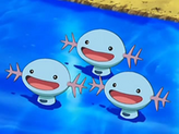Wooper