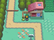 Localización del bonguri verde en la ruta 30 en Pokémon Oro HeartGold y Plata SoulSilver.