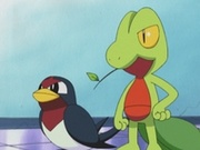 EP297 Treecko y Taillow.jpg