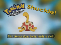 ¿Quién es ese Pokémon?/¿Cuál es este Pokémon?.