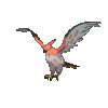 Talonflame EpEc.gif